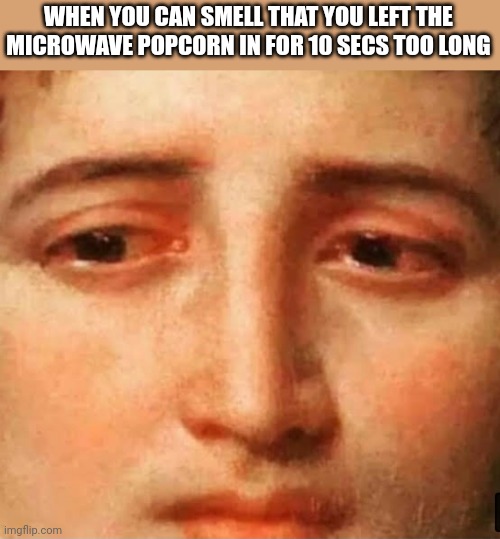 WHEN YOU CAN SMELL THAT YOU LEFT THE MICROWAVE POPCORN IN FOR 10 SECS TOO LONG | image tagged in funny memes | made w/ Imgflip meme maker