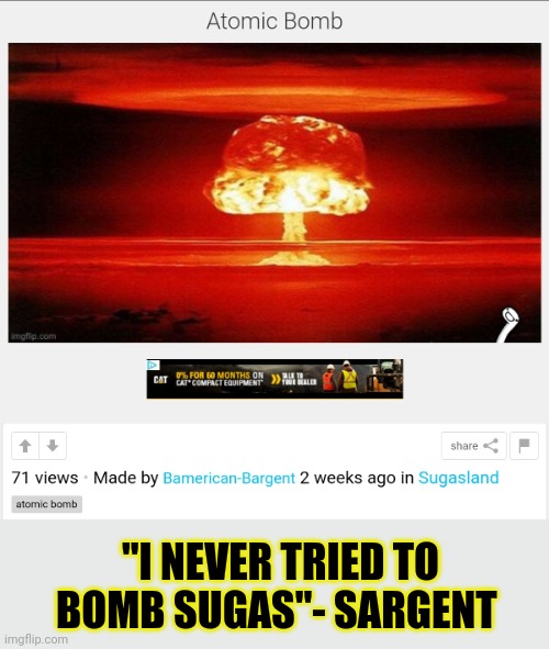 Screen grab's a thing now people | "I NEVER TRIED TO BOMB SUGAS"- SARGENT | image tagged in american,sargent,green peace or,terrorist,you decide | made w/ Imgflip meme maker