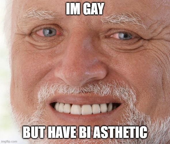help me pls (comment if ur lgbtqia+) | IM GAY; BUT HAVE BI ASTHETIC | image tagged in hide the pain harold | made w/ Imgflip meme maker