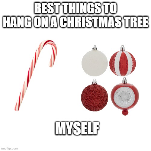 Blank Transparent Square Meme | BEST THINGS TO HANG ON A CHRISTMAS TREE; MYSELF | image tagged in memes,blank transparent square | made w/ Imgflip meme maker