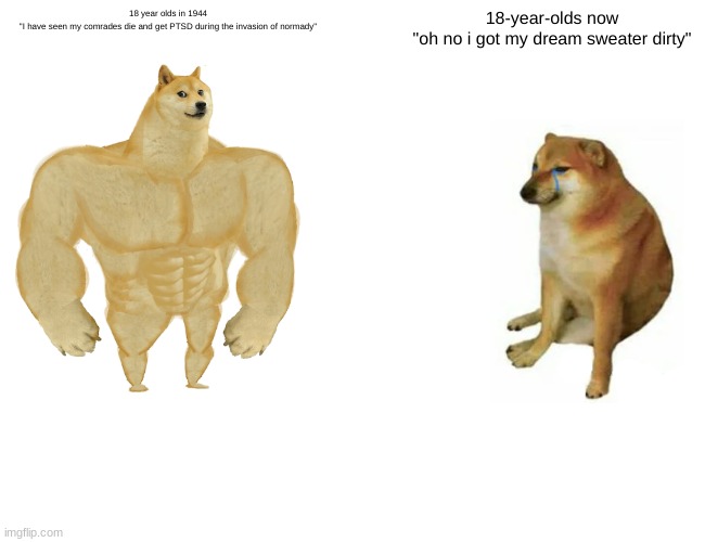 Buff Doge vs. Cheems Meme | 18 year olds in 1944
"I have seen my comrades die and get PTSD during the invasion of normady"; 18-year-olds now
"oh no i got my dream sweater dirty" | image tagged in memes,buff doge vs cheems | made w/ Imgflip meme maker