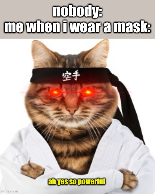 Karate cat | nobody:
me when i wear a mask:; ah yes so powerful | image tagged in karate cat | made w/ Imgflip meme maker