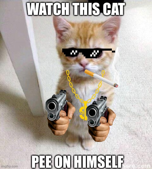 Cute Cat Meme | WATCH THIS CAT; PEE ON HIMSELF | image tagged in memes,cute cat | made w/ Imgflip meme maker