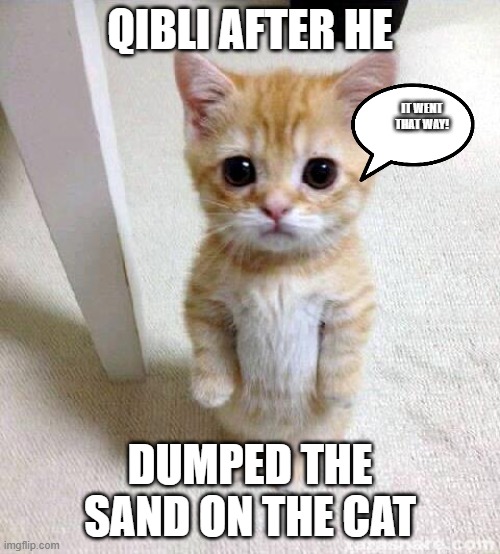 Read book 10 | QIBLI AFTER HE; IT WENT THAT WAY! DUMPED THE SAND ON THE CAT | image tagged in memes,cute cat | made w/ Imgflip meme maker