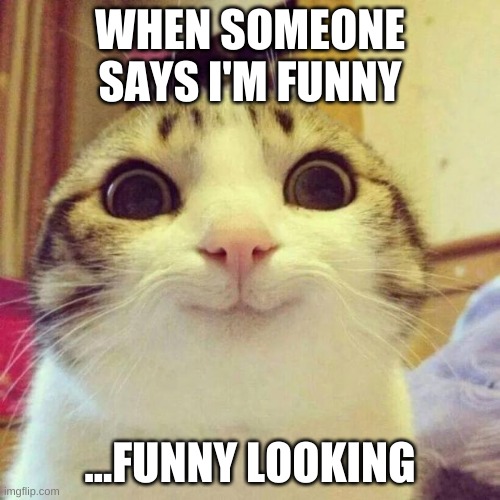All good | WHEN SOMEONE SAYS I'M FUNNY; ...FUNNY LOOKING | image tagged in memes,smiling cat,burn | made w/ Imgflip meme maker
