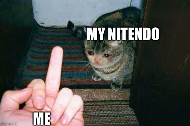 middle finger sad cat | MY NITENDO; ME | image tagged in middle finger sad cat | made w/ Imgflip meme maker