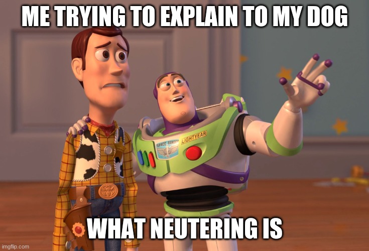 X, X Everywhere | ME TRYING TO EXPLAIN TO MY DOG; WHAT NEUTERING IS | image tagged in memes,x x everywhere | made w/ Imgflip meme maker