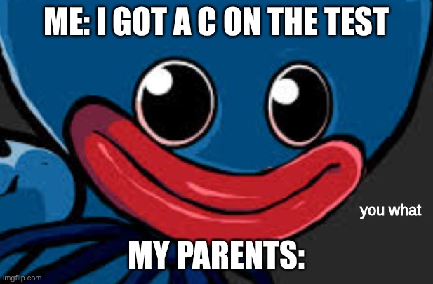 you what (Huggy Wuggy edition) | ME: I GOT A C ON THE TEST; MY PARENTS: | image tagged in you what huggy wuggy edition | made w/ Imgflip meme maker