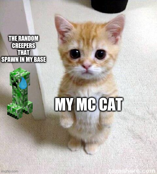 Cute Cat Meme | THE RANDOM CREEPERS THAT SPAWN IN MY BASE; MY MC CAT | image tagged in memes,cute cat | made w/ Imgflip meme maker