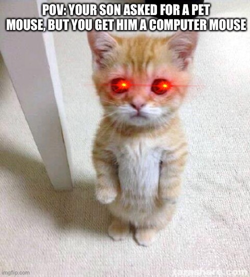 Cute Cat | POV: YOUR SON ASKED FOR A PET MOUSE, BUT YOU GET HIM A COMPUTER MOUSE | image tagged in memes,cute cat | made w/ Imgflip meme maker
