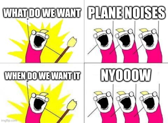 What Do We Want | WHAT DO WE WANT; PLANE NOISES; NYOOOW; WHEN DO WE WANT IT | image tagged in memes,what do we want | made w/ Imgflip meme maker
