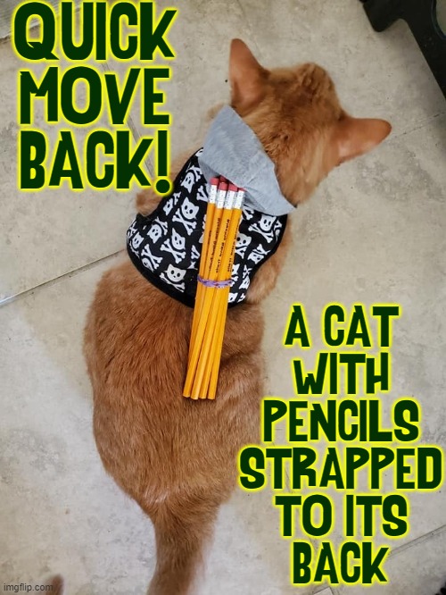 At last... my cat is useful | QUICK
MOVE
BACK! A CAT
WITH
PENCILS
STRAPPED
TO ITS
BACK | image tagged in vince vance,cats,pencils,funny cat memes,i love cats,meow | made w/ Imgflip meme maker