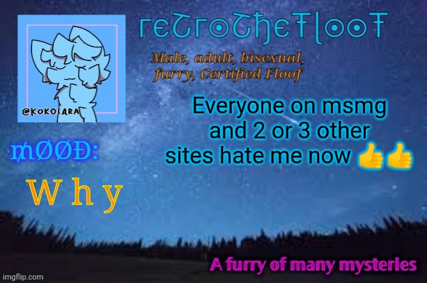 Taking a break from posting for today | Everyone on msmg and 2 or 3 other sites hate me now 👍👍; W h y | image tagged in retrothefloof official announcement template 2 | made w/ Imgflip meme maker