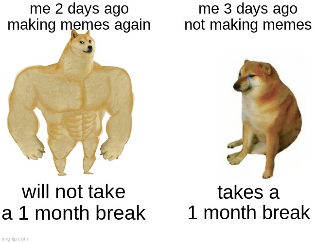 me 2 days ago vs me 3 days ago | me 2 days ago making memes again; me 3 days ago not making memes; will not take a 1 month break; takes a 1 month break | image tagged in memes,buff doge vs cheems | made w/ Imgflip meme maker