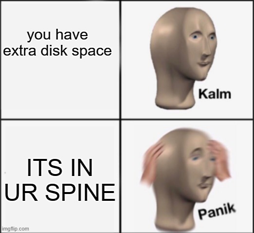 extra disk space | you have extra disk space; ITS IN UR SPINE | image tagged in kalm panik,medical,oh wow are you actually reading these tags | made w/ Imgflip meme maker