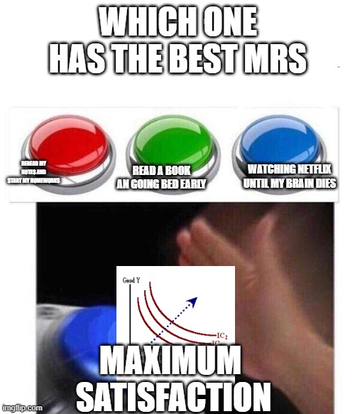 3 Buttons | WHICH ONE HAS THE BEST MRS; REREAD MY NOTES AND START MY HOMEWORKS; READ A BOOK AN GOING BED EARLY; WATCHING NETFLIX UNTIL MY BRAIN DIES; MAXIMUM 
SATISFACTION | image tagged in 3 buttons | made w/ Imgflip meme maker