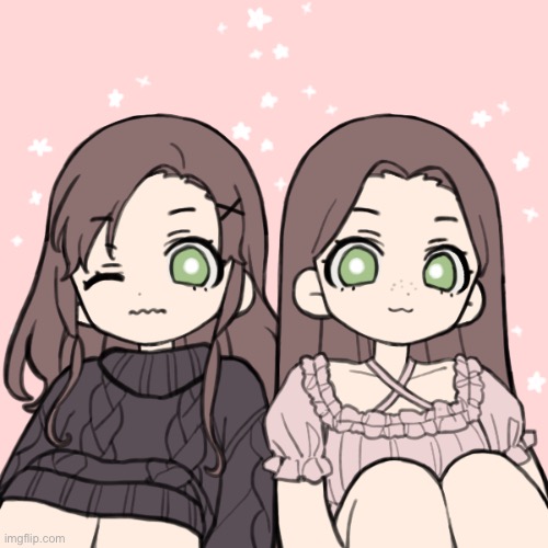 My twin OCs, Holly (on the right) and Rae (on the left) | made w/ Imgflip meme maker