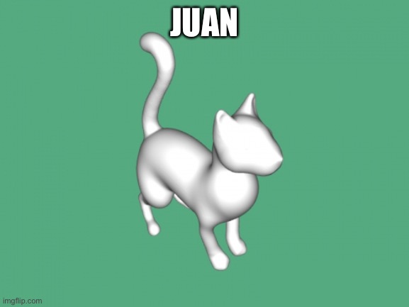 JUAN | image tagged in 3d cat | made w/ Imgflip meme maker