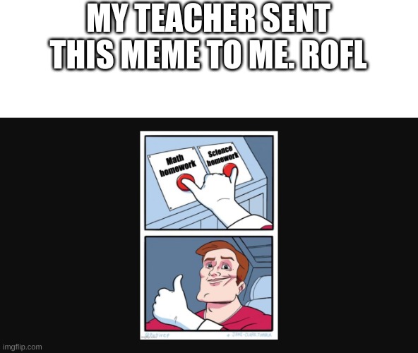 MY TEACHER SENT THIS MEME TO ME. ROFL | image tagged in teachers make memes | made w/ Imgflip meme maker
