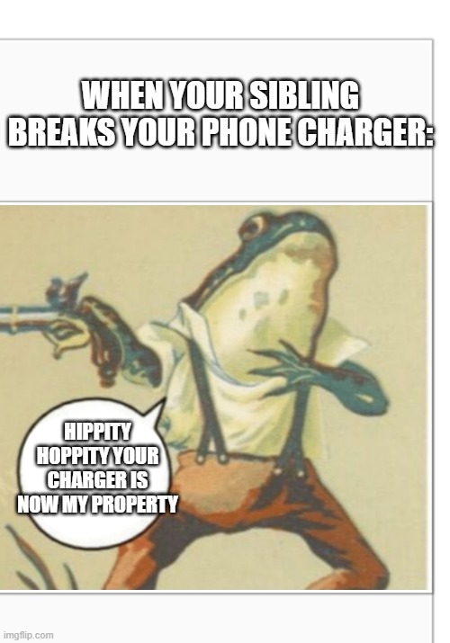 (insert your own title here) | WHEN YOUR SIBLING BREAKS YOUR PHONE CHARGER:; HIPPITY HOPPITY YOUR CHARGER IS NOW MY PROPERTY | image tagged in hippity hoppity blank | made w/ Imgflip meme maker