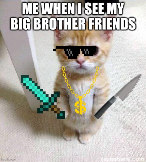 im cool | ME WHEN I SEE MY BIG BROTHER FRIENDS | image tagged in memes,cute cat | made w/ Imgflip meme maker