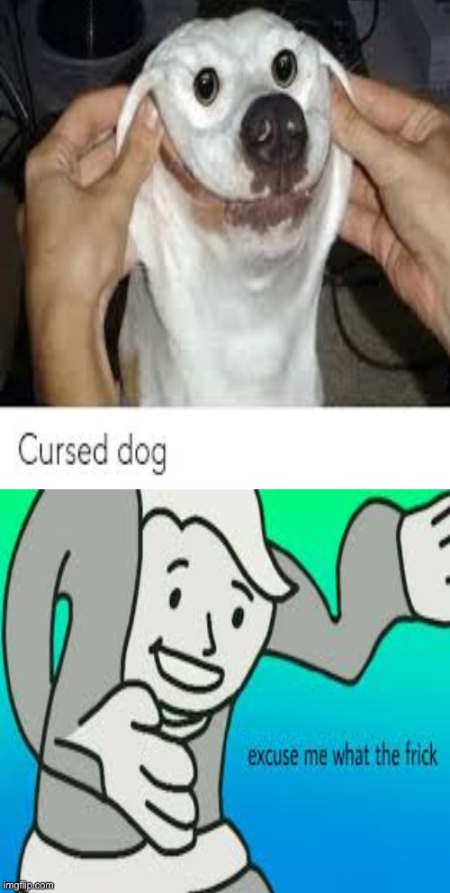 Pass the unsee! | image tagged in cursed,doggo,ahhhhhhhh,excuse me what the frick | made w/ Imgflip meme maker