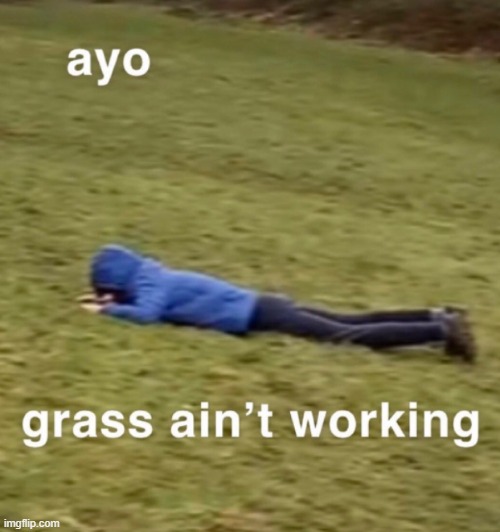 Ayo grass ain't working | image tagged in ayo grass ain't working | made w/ Imgflip meme maker
