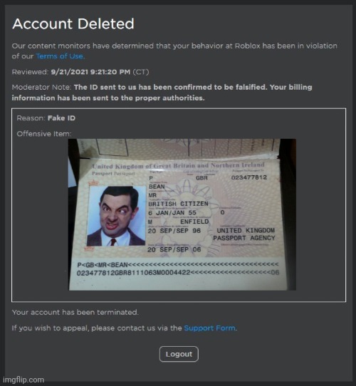 Fake roblox