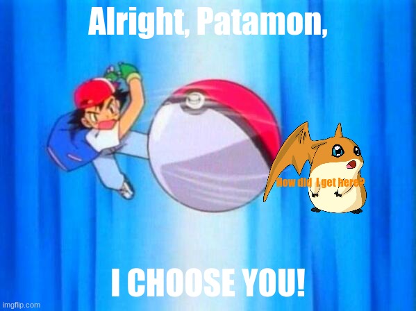I choose you! | Alright, Patamon, How did  I get here? I CHOOSE YOU! | image tagged in i choose you | made w/ Imgflip meme maker
