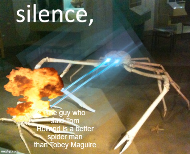 SILENCE BOI | The guy who said Tom Holland is a better spider man than Tobey Maguire | image tagged in silence crab | made w/ Imgflip meme maker