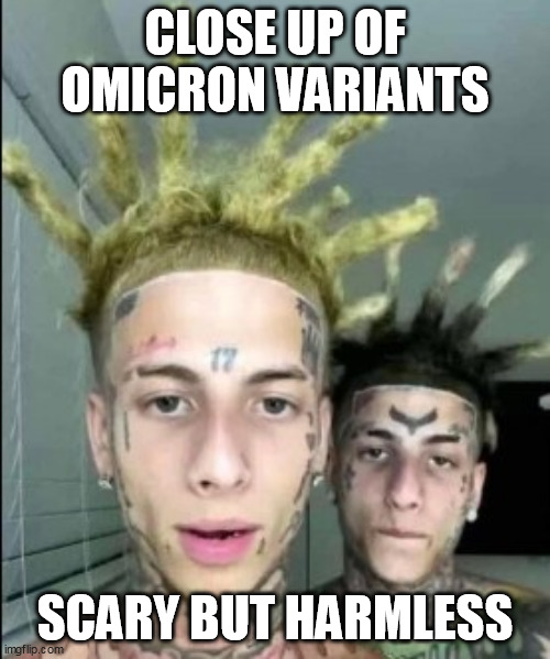 Omicron Close up | CLOSE UP OF OMICRON VARIANTS; SCARY BUT HARMLESS | image tagged in omicron - moronic | made w/ Imgflip meme maker