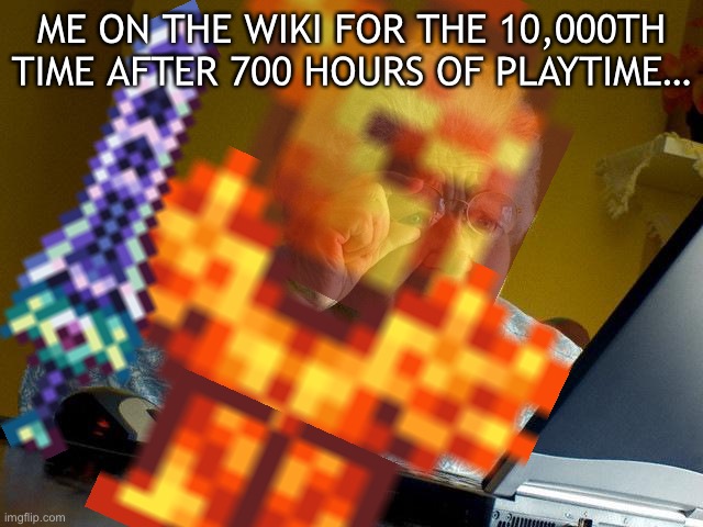 Terraria | ME ON THE WIKI FOR THE 10,000TH TIME AFTER 700 HOURS OF PLAYTIME… | image tagged in terraria,grandma finds the internet | made w/ Imgflip meme maker