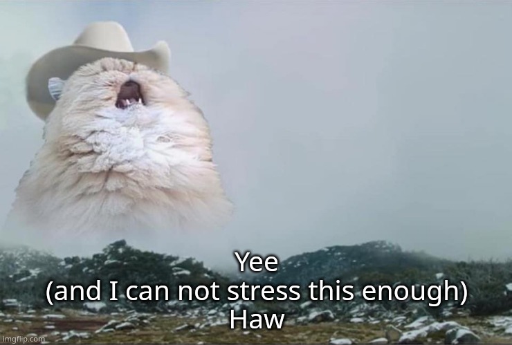 Screaming Cowboy Cat | Yee
(and I can not stress this enough)
Haw | image tagged in screaming cowboy cat | made w/ Imgflip meme maker