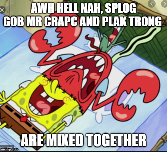 AWH HELL NAH | AWH HELL NAH, SPLOG GOB MR CRAPC AND PLAK TRONG; ARE MIXED TOGETHER | image tagged in spunch bop 1 | made w/ Imgflip meme maker