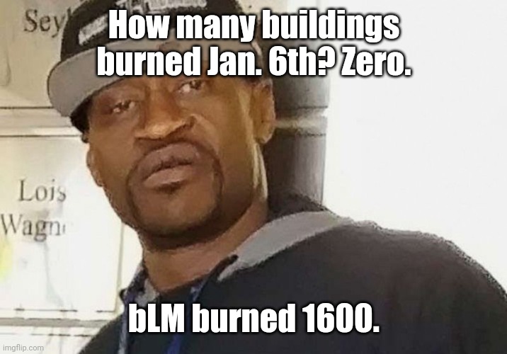 Fentanyl floyd | How many buildings burned Jan. 6th? Zero. bLM burned 1600. | image tagged in fentanyl floyd | made w/ Imgflip meme maker