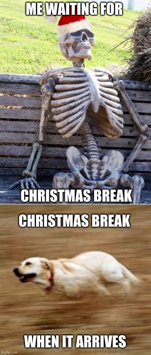 ME WAITING FOR; CHRISTMAS BREAK; CHRISTMAS BREAK; WHEN IT ARRIVES | image tagged in memes,waiting skeleton,speedy doggo | made w/ Imgflip meme maker