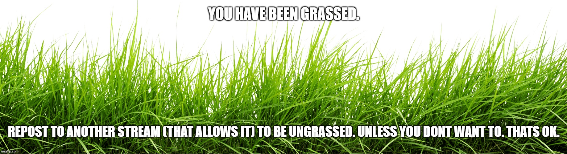 Grass | YOU HAVE BEEN GRASSED. REPOST TO ANOTHER STREAM (THAT ALLOWS IT) TO BE UNGRASSED. UNLESS YOU DONT WANT TO. THATS OK. | image tagged in grass | made w/ Imgflip meme maker