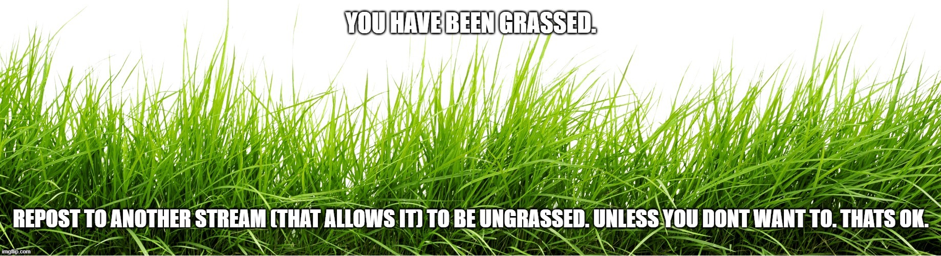 g r a s s | image tagged in you have been grassed | made w/ Imgflip meme maker