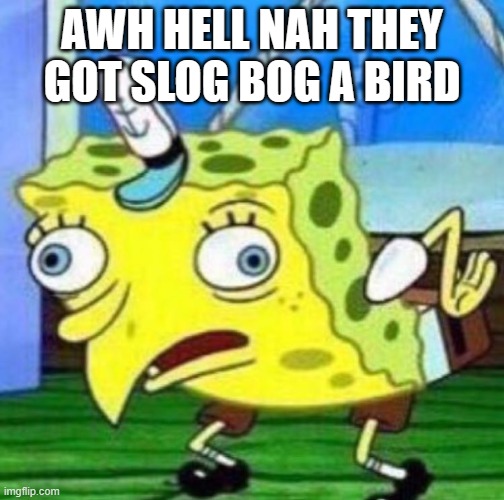 Sarcastic spongebob | AWH HELL NAH THEY GOT SLOG BOG A BIRD | image tagged in spongebob | made w/ Imgflip meme maker