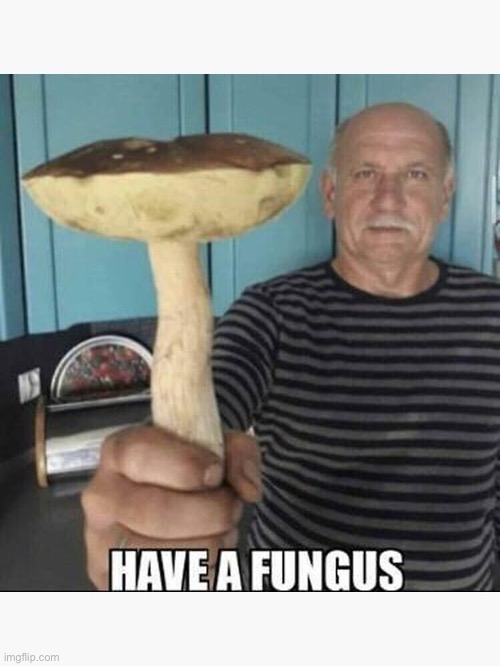 A welcome gift | image tagged in have a fungus | made w/ Imgflip meme maker