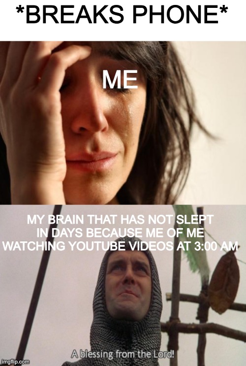 Day 894 of running out of titles | *BREAKS PHONE*; ME; MY BRAIN THAT HAS NOT SLEPT IN DAYS BECAUSE ME OF ME WATCHING YOUTUBE VIDEOS AT 3:00 AM | image tagged in memes,first world problems,a blessing from the lord | made w/ Imgflip meme maker