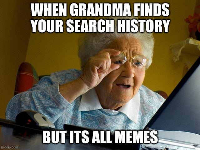 Grandma Finds The Internet Meme | WHEN GRANDMA FINDS YOUR SEARCH HISTORY; BUT ITS ALL MEMES | image tagged in memes,grandma finds the internet | made w/ Imgflip meme maker