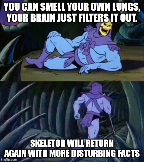 Hmm | YOU CAN SMELL YOUR OWN LUNGS, YOUR BRAIN JUST FILTERS IT OUT. SKELETOR WILL RETURN AGAIN WITH MORE DISTURBING FACTS | image tagged in skeletor disturbing facts,stop reading the tags,stop,oh wow are you actually reading these tags | made w/ Imgflip meme maker