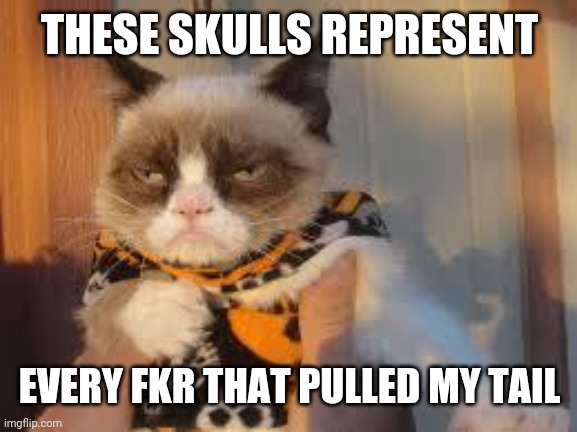 Grumpy Cat Halloween | THESE SKULLS REPRESENT; EVERY FKR THAT PULLED MY TAIL | image tagged in memes,grumpy cat halloween,grumpy cat | made w/ Imgflip meme maker