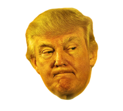 Orange Trump head Blank Meme Template