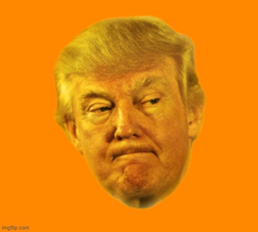 Orange Trump head | image tagged in orange trump head | made w/ Imgflip meme maker