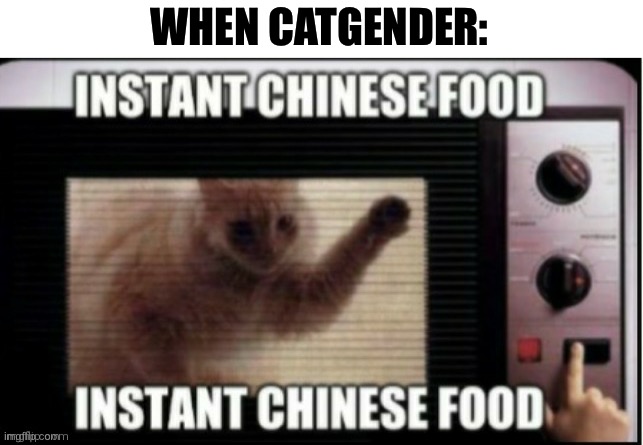 WHEN CATGENDER: | image tagged in instant chinese food | made w/ Imgflip meme maker