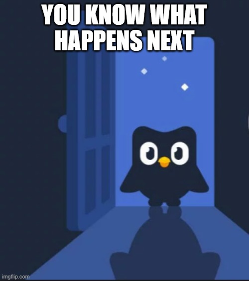 Duolingo bird | YOU KNOW WHAT HAPPENS NEXT | image tagged in duolingo bird | made w/ Imgflip meme maker