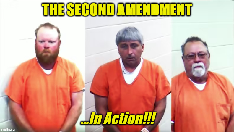 murdered Ahmaud | THE SECOND AMENDMENT; ...In Action!!! | image tagged in murdered ahmaud | made w/ Imgflip meme maker