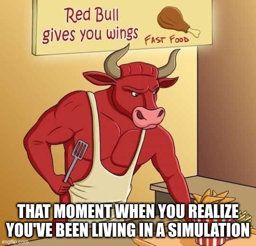 Red Bull Gives You Wings | THAT MOMENT WHEN YOU REALIZE YOU'VE BEEN LIVING IN A SIMULATION | image tagged in red bull gives you wings | made w/ Imgflip meme maker